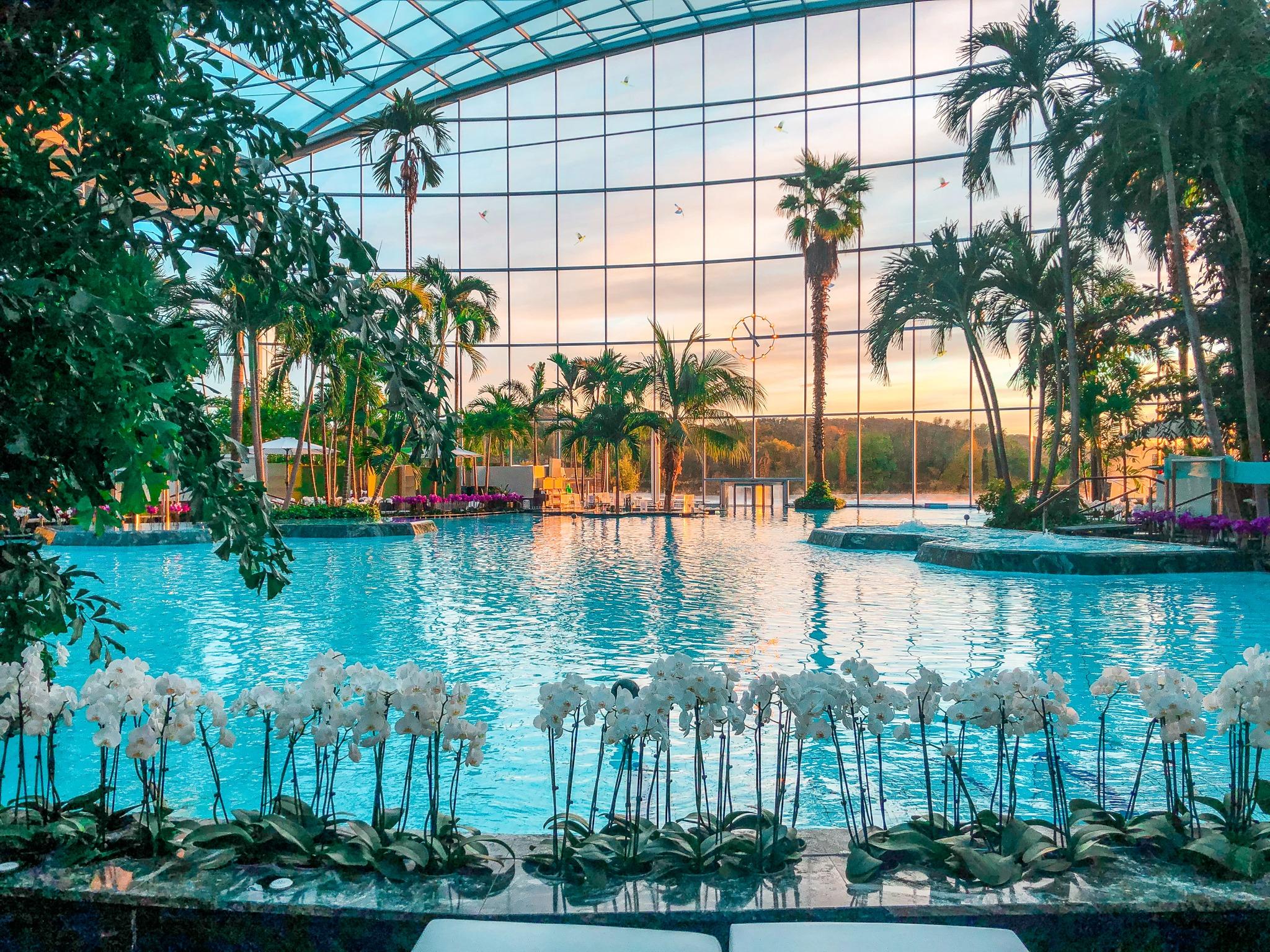 Therme Sinsheim Palmenparadies 1 Nacht im ECO Doppelzimmer Hotel Leo Mühlhausen 248 €